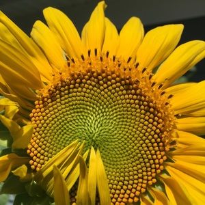 Meet your Posher, Brittney